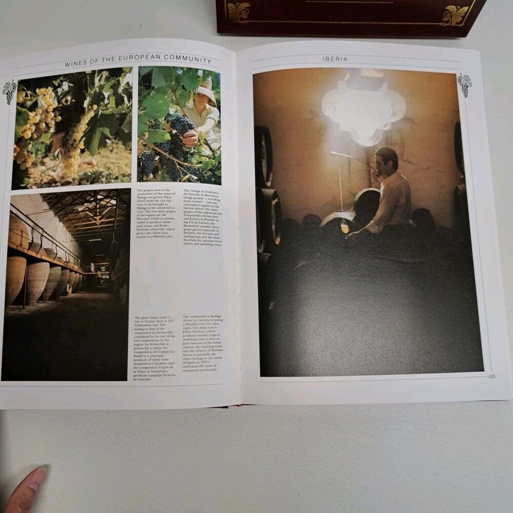 The Book of Wine Norman Bezzant Boxed Hard Cover Book Color Illustrated 1989 - Picture 5 of 6